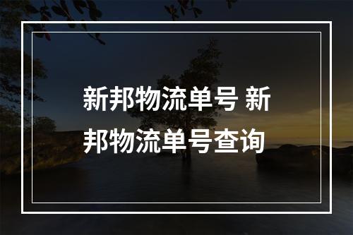 新邦物流单号 新邦物流单号查询