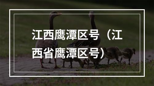 江西鹰潭区号（江西省鹰潭区号）