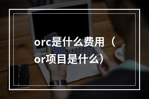 orc是什么费用（or项目是什么）