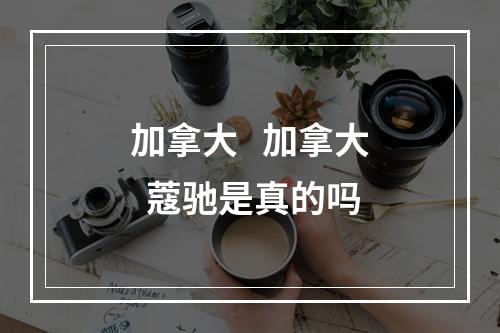 加拿大   加拿大  蔻驰是真的吗