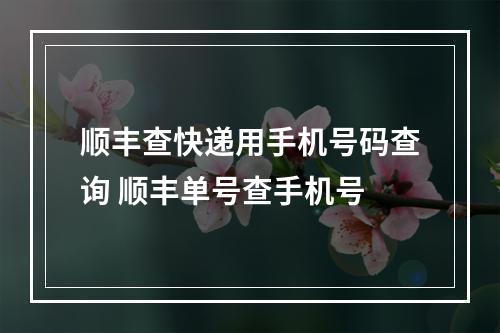 顺丰查快递用手机号码查询 顺丰单号查手机号