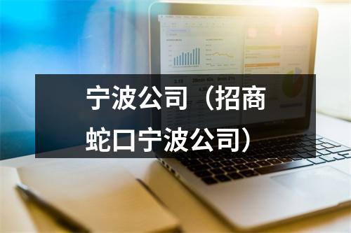 宁波公司（招商蛇口宁波公司）