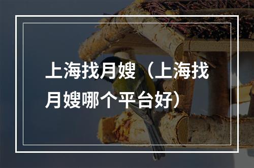 上海找月嫂（上海找月嫂哪个平台好）