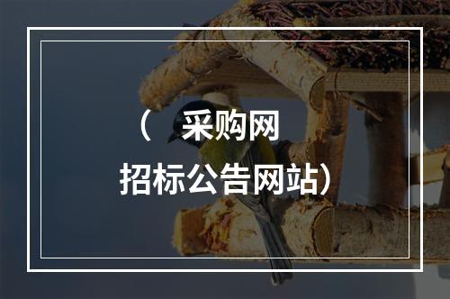 （    采购网招标公告网站）