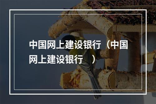 中国网上建设银行（中国网上建设银行    ）