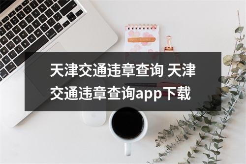 天津交通违章查询 天津交通违章查询app下载