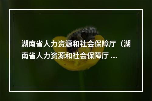 湖南省人力资源和社会保障厅（湖南省人力资源和社会保障厅  ）