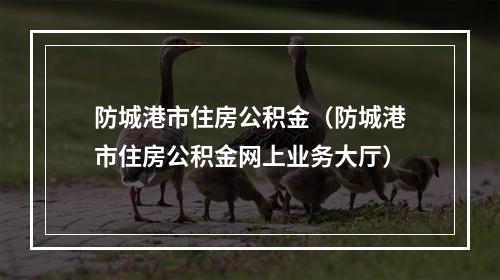 防城港市住房公积金（防城港市住房公积金网上业务大厅）