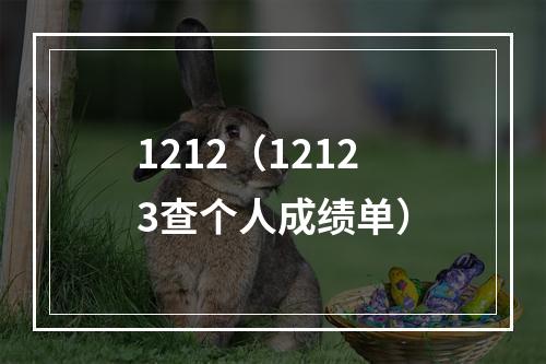 1212（12123查个人成绩单）