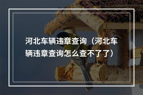 河北车辆违章查询（河北车辆违章查询怎么查不了了）