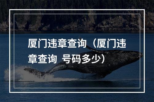 厦门违章查询（厦门违章查询  号码多少）