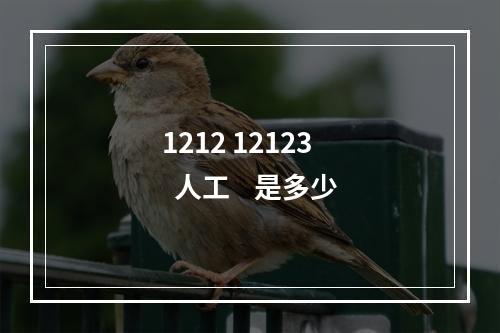 1212 12123    人工    是多少