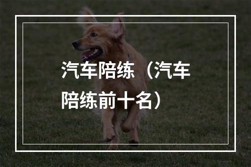 汽车陪练（汽车陪练前十名）