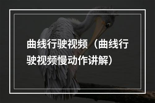 曲线行驶视频（曲线行驶视频慢动作讲解）