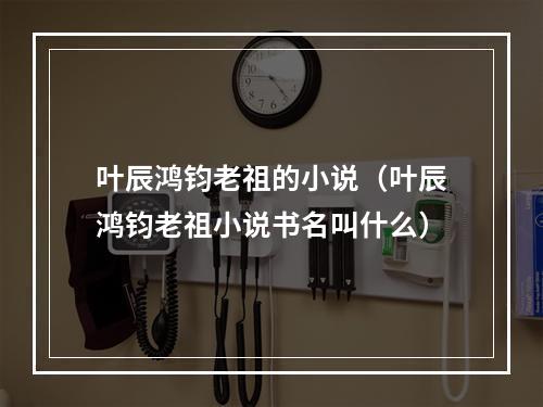 叶辰鸿钧老祖的小说（叶辰鸿钧老祖小说书名叫什么）