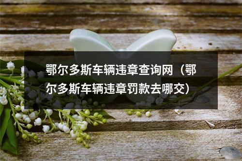 鄂尔多斯车辆违章查询网（鄂尔多斯车辆违章罚款去哪交）