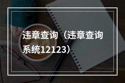 违章查询（违章查询系统12123）