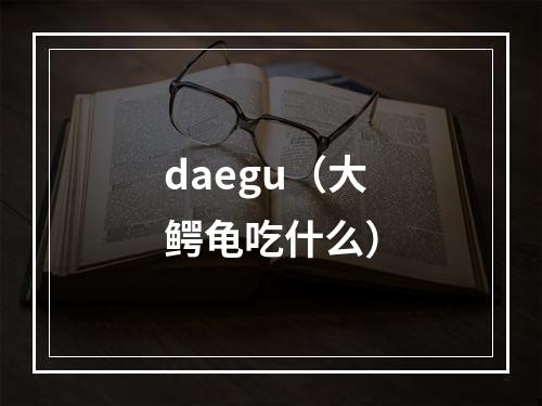 daegu（大鳄龟吃什么）