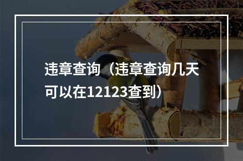 违章查询（违章查询几天可以在12123查到）