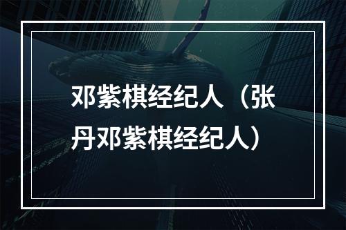 邓紫棋经纪人（张丹邓紫棋经纪人）