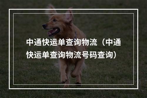 中通快运单查询物流（中通快运单查询物流号码查询）