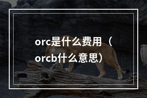 orc是什么费用（orcb什么意思）