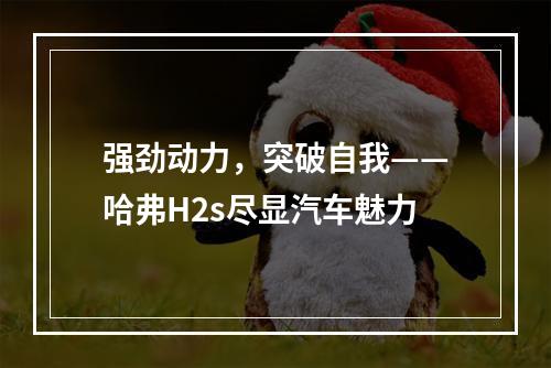 强劲动力，突破自我——哈弗H2s尽显汽车魅力