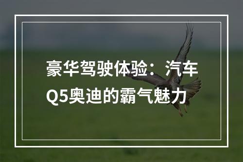 豪华驾驶体验：汽车Q5奥迪的霸气魅力