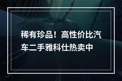 稀有珍品！高性价比汽车二手雅科仕热卖中