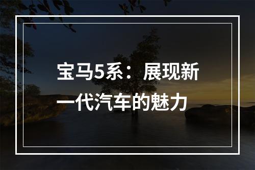 宝马5系：展现新一代汽车的魅力