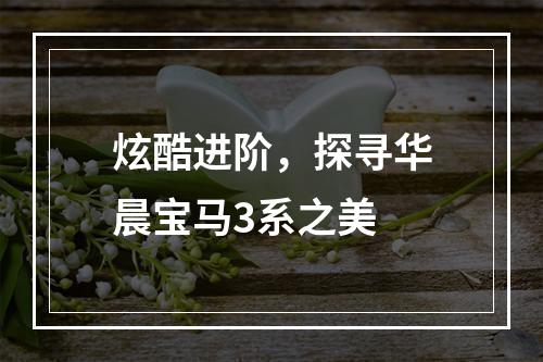 炫酷进阶，探寻华晨宝马3系之美