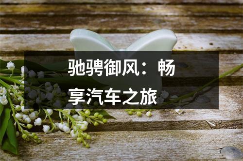 驰骋御风：畅享汽车之旅