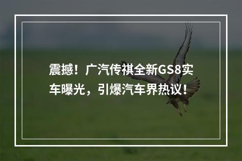 震撼！广汽传祺全新GS8实车曝光，引爆汽车界热议！