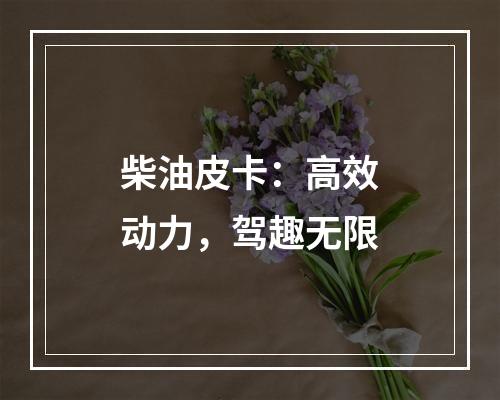 柴油皮卡：高效动力，驾趣无限