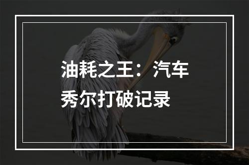 油耗之王：汽车秀尔打破记录