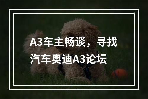 A3车主畅谈，寻找汽车奥迪A3论坛