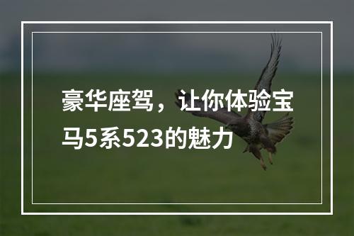 豪华座驾，让你体验宝马5系523的魅力