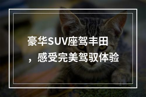 豪华SUV座驾丰田，感受完美驾驭体验