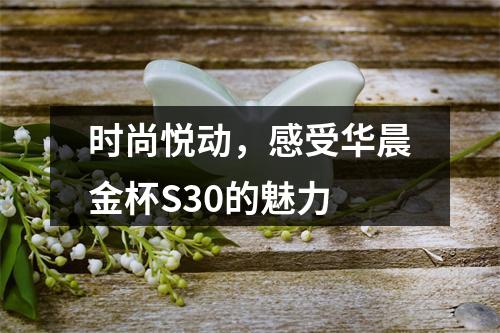 时尚悦动，感受华晨金杯S30的魅力