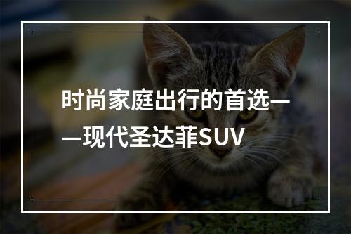 时尚家庭出行的首选——现代圣达菲SUV