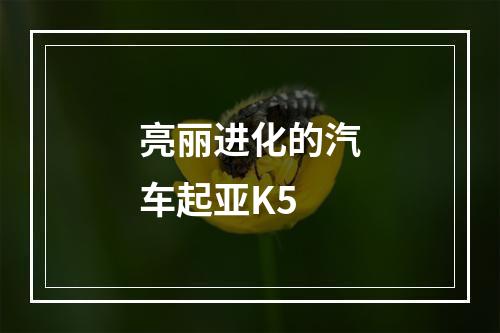 亮丽进化的汽车起亚K5