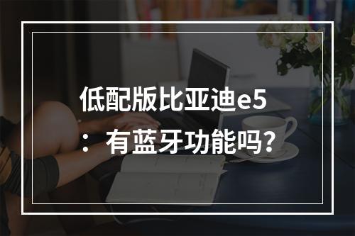 低配版比亚迪e5：有蓝牙功能吗？