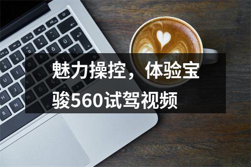 魅力操控，体验宝骏560试驾视频