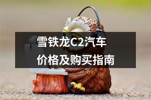 雪铁龙C2汽车价格及购买指南