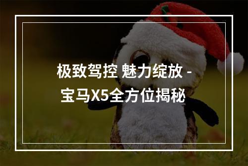 极致驾控 魅力绽放 - 宝马X5全方位揭秘