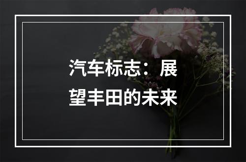 汽车标志：展望丰田的未来