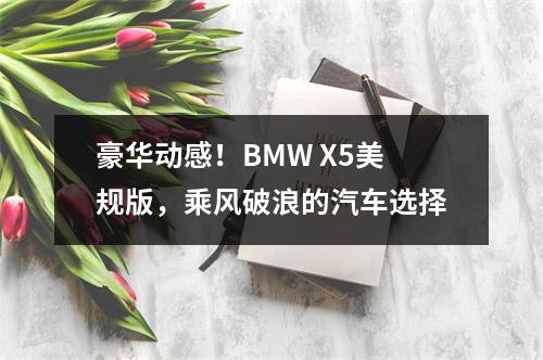 豪华动感！BMW X5美规版，乘风破浪的汽车选择