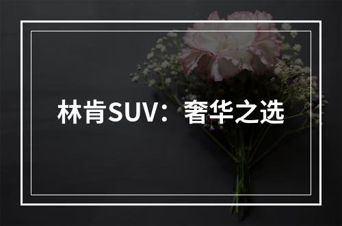 林肯SUV：奢华之选