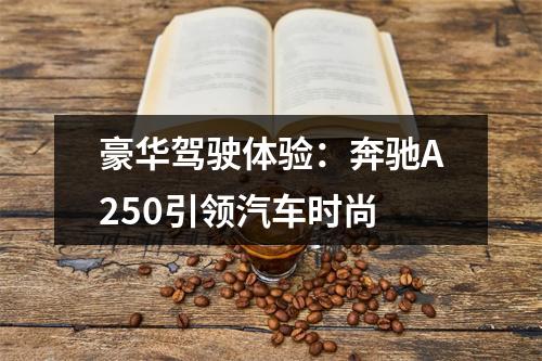 豪华驾驶体验：奔驰A250引领汽车时尚