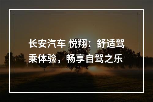 长安汽车 悦翔：舒适驾乘体验，畅享自驾之乐